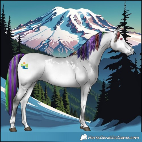 Horse Color:Platinum Painted White Spotted Buckskin Chinchilla Onyx 