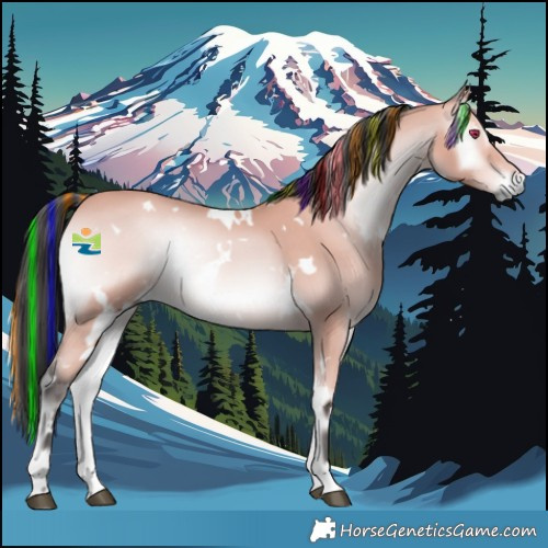 Horse Color:Platinum Painted White Spotted Bay Onyx Rabicano 