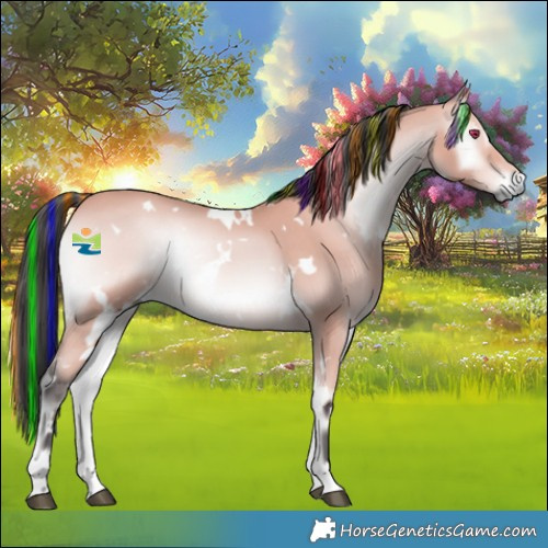 Horse Color:Platinum Painted White Spotted Bay Onyx Rabicano 