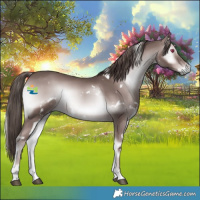 Horse Color:Platinum White Spotted Red Onyx Rabicano 