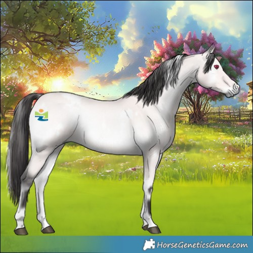 Horse Color:Platinum White Spotted Buckskin Onyx Rabicano 