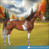 Horse Color:Chocolate Bay Splash Tobiano 