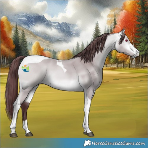 Horse Color:Chocolate Buckskin Chinchilla Tobiano 