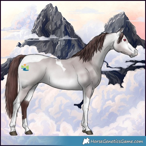 Horse Color:Chocolate Buckskin Chinchilla Tobiano 