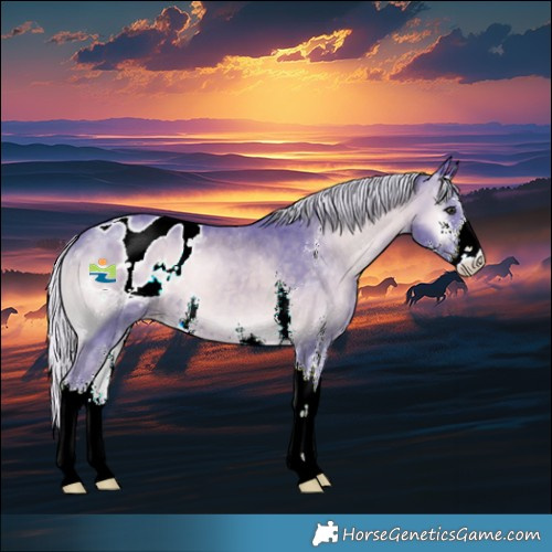 Horse Color:Watercolor Silver Blue Onyx Chinchilla Sabino Appaloosa 
