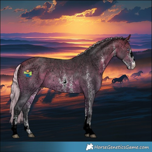 Horse Color:Silver Bay Chinchilla Ice Sabino Rabicano