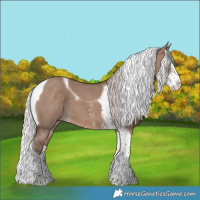 Horse Color:Silver Brown Dun Sabino Splash Tobiano