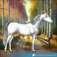 Horse Color:Black Frame