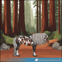 Horse Color:White Spotted Silver Brown Tobiano Skewed Appaloosa 