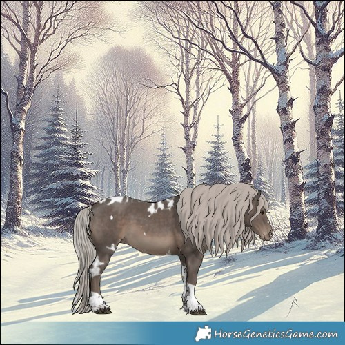 Horse Color:White Spotted Silver Black Tobiano Skewed Appaloosa 