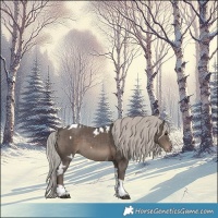 Horse Color:White Spotted Silver Black Tobiano Skewed Appaloosa 