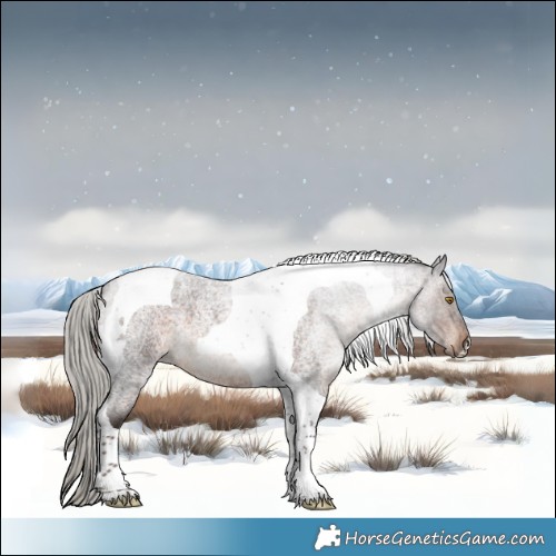 Horse Color:Silver Brown Roan Tobiano 