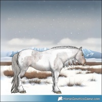 Horse Color:Silver Brown Roan Tobiano