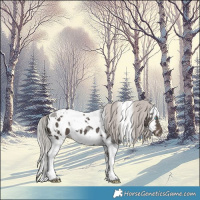 Horse Color:Silver Black Merle Tobiano Skewed Appaloosa 