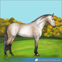 Horse Color:Gray Buckskin