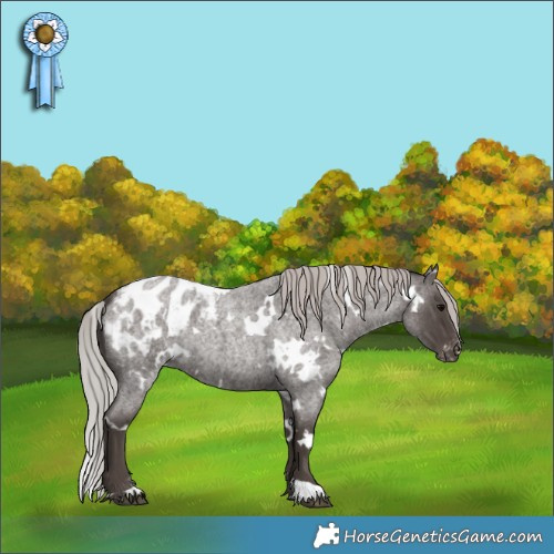 Horse Color:White Spotted Silver Blue Roan Appaloosa 