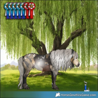 Horse Color:Gray White Spotted Brown Tobiano Skewed Appaloosa  and White Spotted Silver Buckskin Dun 