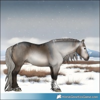 Horse Color:Gray Silver Brown Dun Tobiano 