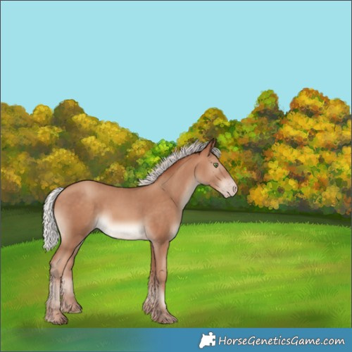 Horse Color:Silver Sable Champagne Rabicano 
