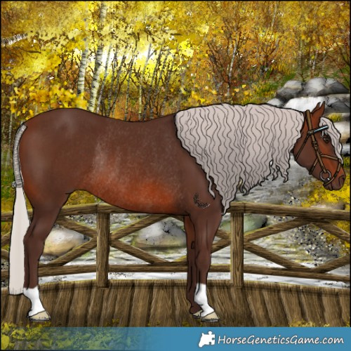 Horse Color:Silver Brown Rabicano 