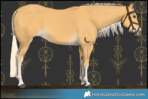 Horse Color:Palomino 