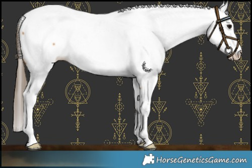 Horse Color:Buckskin Fewspot 