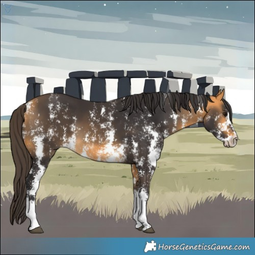 Horse Color:Buckskin Sabino Rabicano