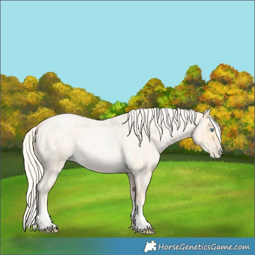Horse Color:Palomino Roan Pearl  and Palomino Roan Pearl 