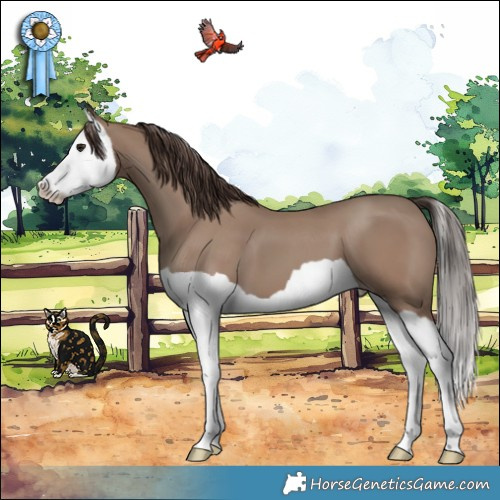 Horse Color:Classic Champagne Splash 