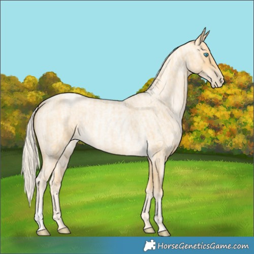 Horse Color:Palomino Roan Pearl  and Palomino Roan Pearl 
