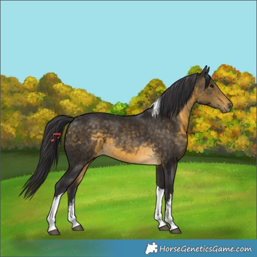 Horse Color:White Spotted Buckskin Tobiano 