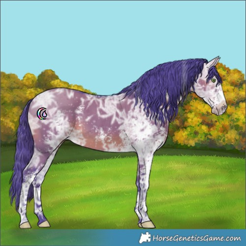 Horse Color:Watercolor White Spotted Smoky Grullo Ice 