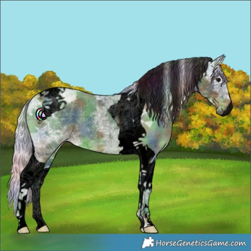 Horse Color:Void Nacre Watercolor Silver Black Ice Tobiano 