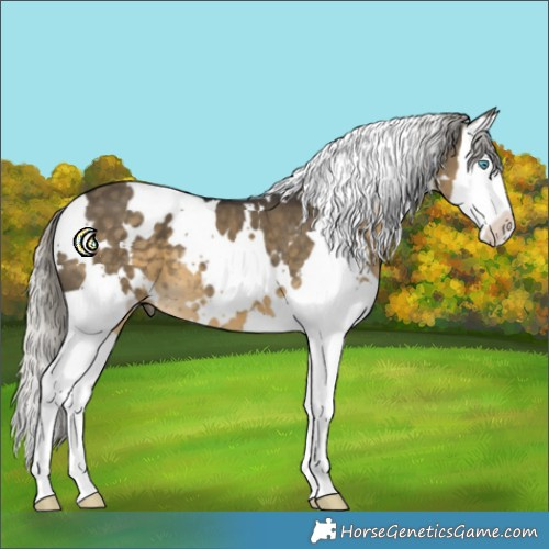 Horse Color:White Spotted Silver Smoky Grullo Splash 