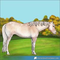 Horse Color:Silver Amber Champagne Ice Onyx Sabino 