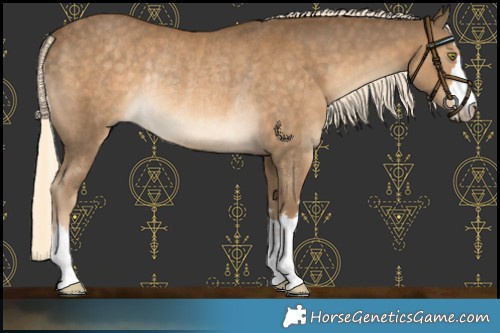 Horse Color:Chocolate Palomino Mushroom Rabicano 