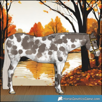 Horse Color:White Spotted Silver Black Sabino 