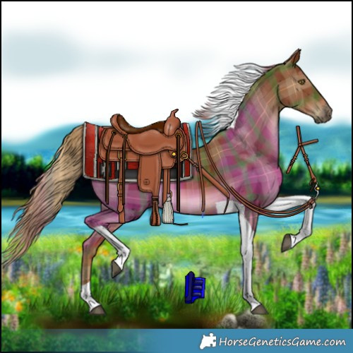 Horse Color:Plaid Chestnut Tobiano