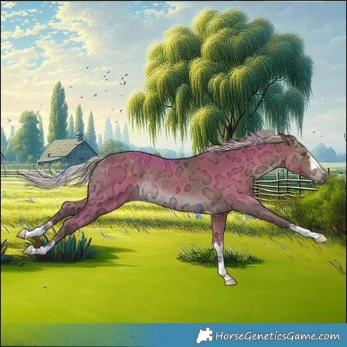 Horse Color:Silver Brown Ice Rabicano 