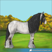 Horse Color:Blue Onyx Roan Varnish 