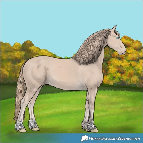 Horse Color:Smoky Creme