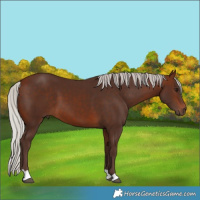 Horse Color:Silver Brown