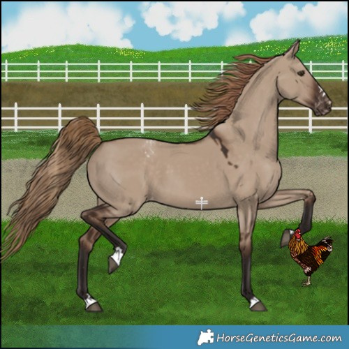 Horse Color:Liver Red Dun Varnish 