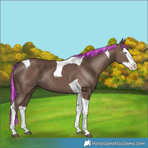 Horse Color:Painted Silver Black Splash Tobiano 