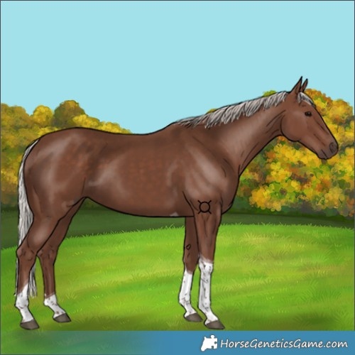 Horse Color:Silver Black Tobiano