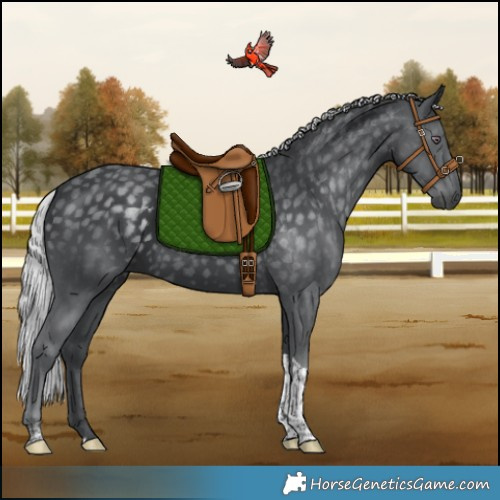 Horse Color:Silver Black Chinchilla Tobiano 