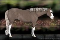 Horse Color:Silver Blue Roan Splash