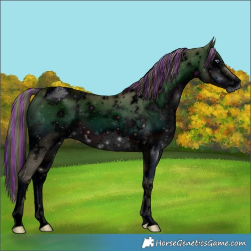 Horse Color:ERROR: UNKNOWN ANOMALY