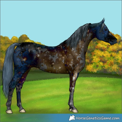 Horse Color:ERROR: UNKNOWN ANOMALY