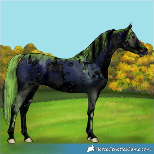 Horse Color:ERROR: UNKNOWN ANOMALY